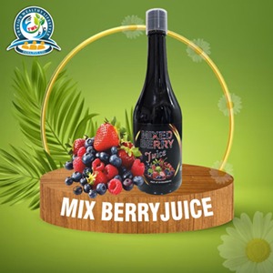 MIXED BERRY JUICE
